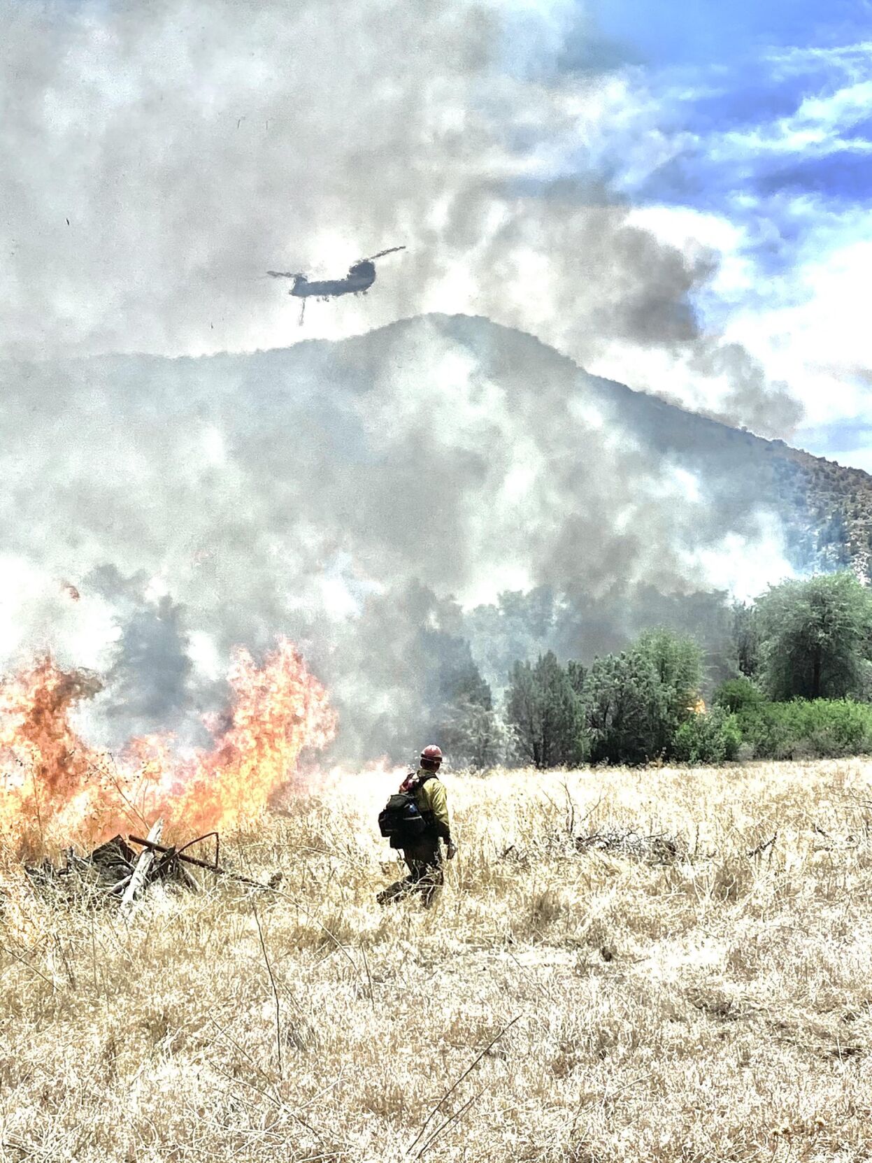 Telegraph Fire, Arizona